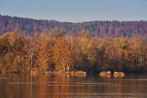 Gemeinde Kirchdorf Landkreis Rottal-Inn Waldsee Lago Herbst (Dirschl Johann) Deutschland PAN